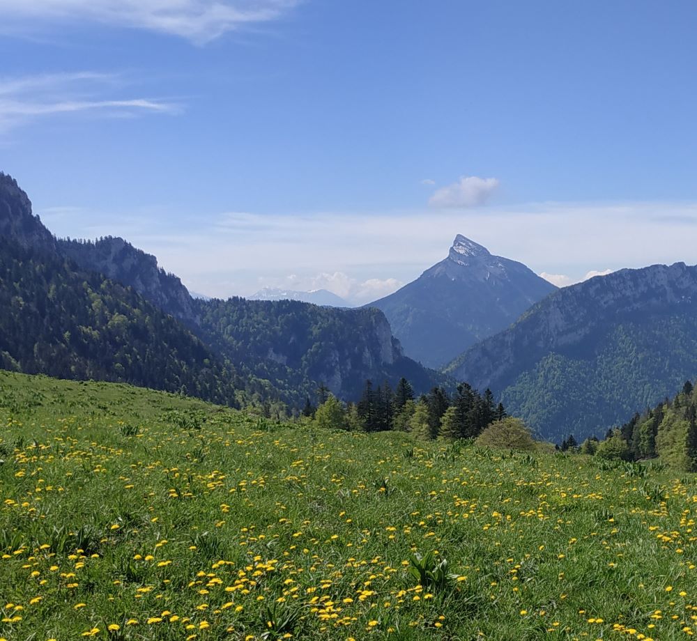 Col de la Ruchère