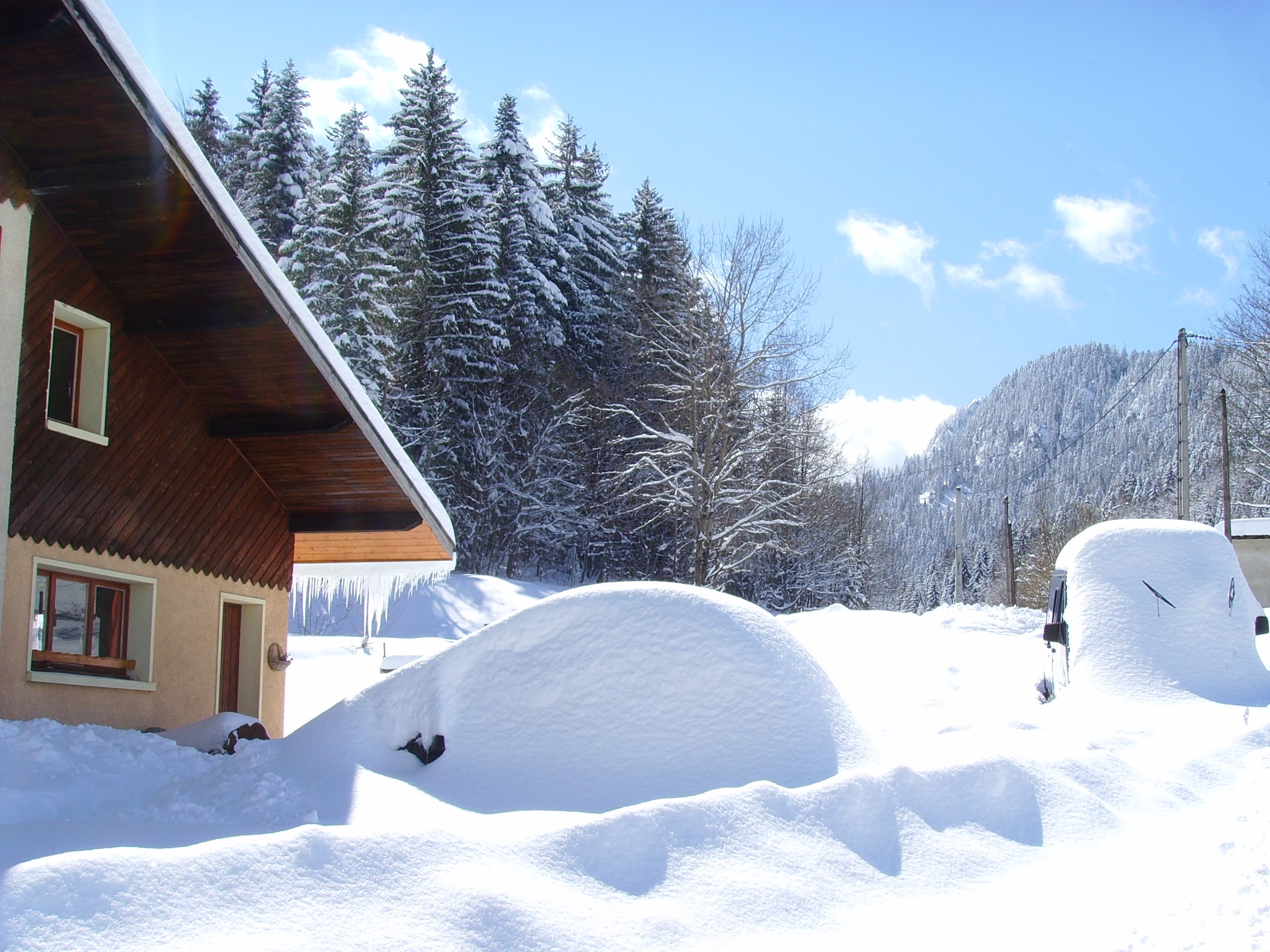 Cocon hivernal